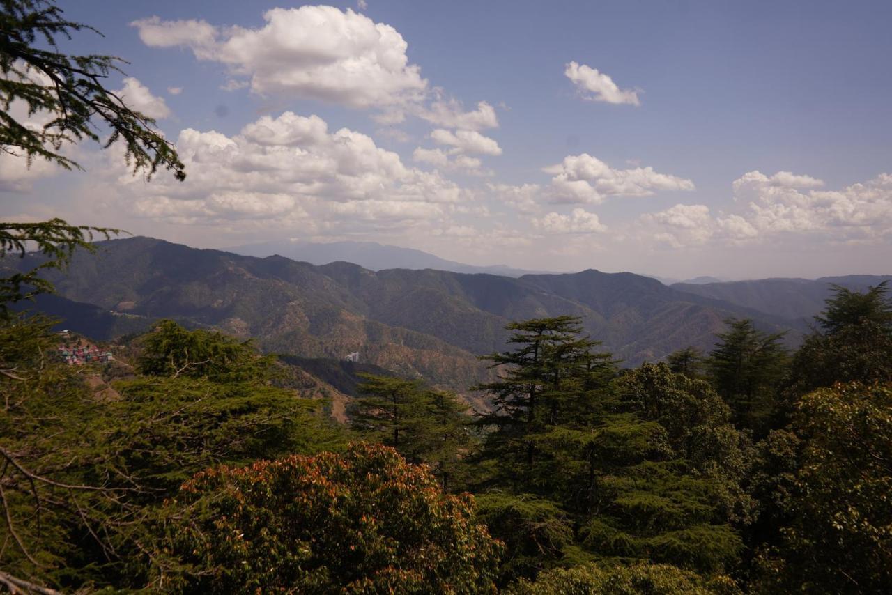Jakhu Vibes Shimla Esterno foto