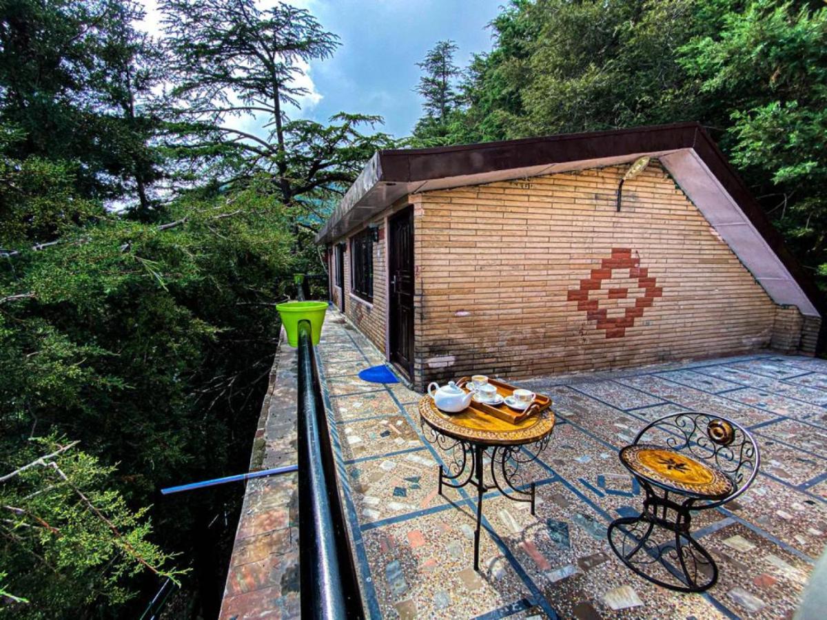 Jakhu Vibes Shimla Esterno foto