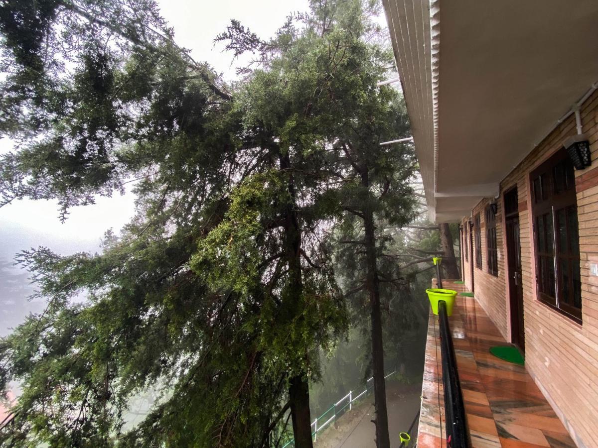 Jakhu Vibes Shimla Esterno foto