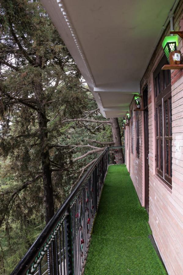 Jakhu Vibes Shimla Esterno foto