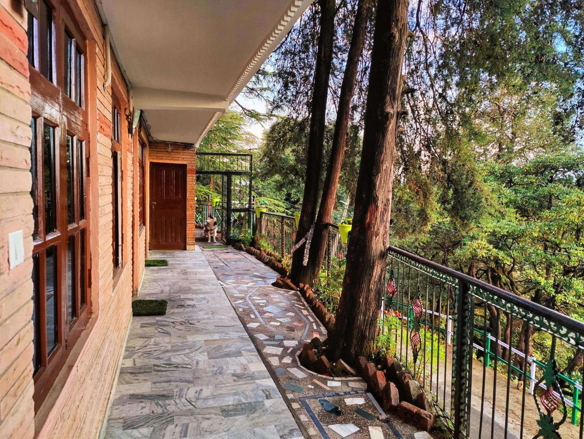 Jakhu Vibes Shimla Esterno foto