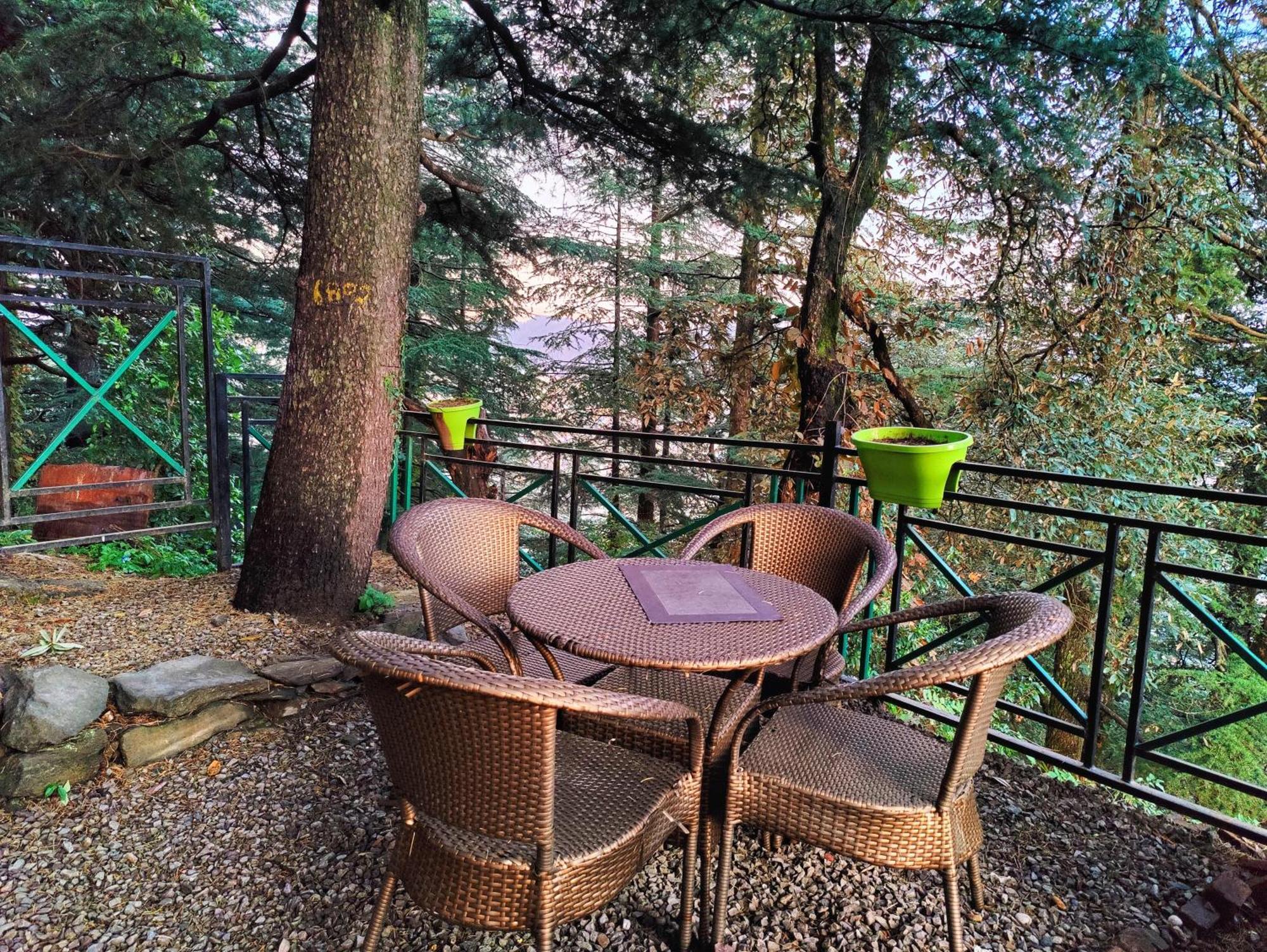 Jakhu Vibes Shimla Esterno foto